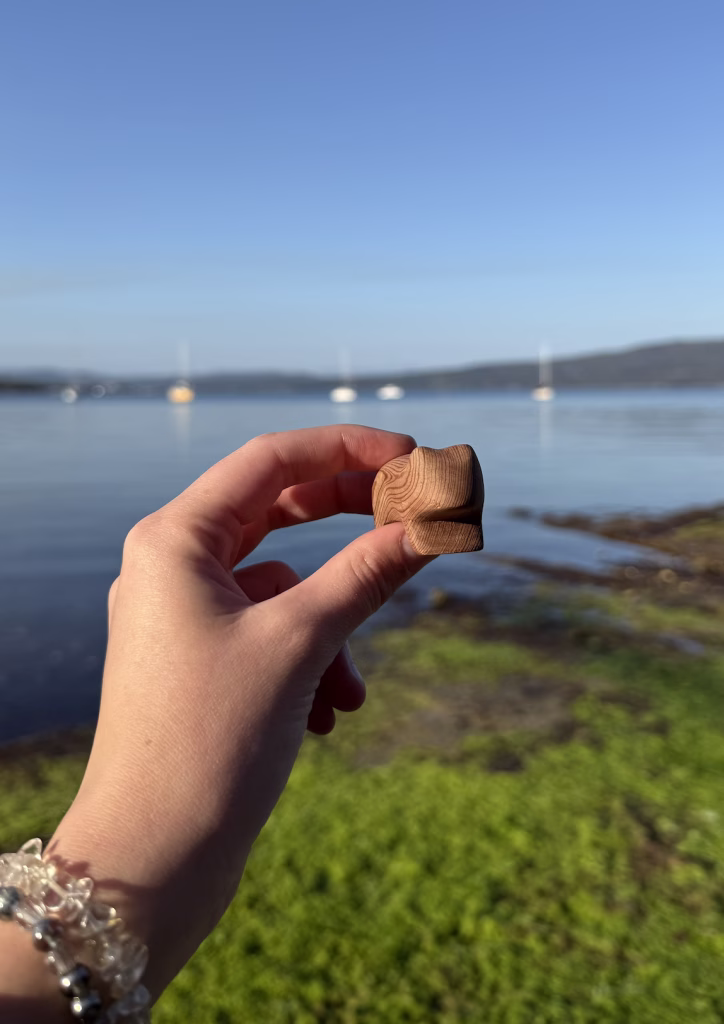 A wooden wombat figurine held in front of the water in Snug, Tasmania.
